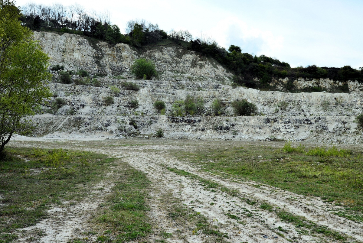 Chalk Quarry