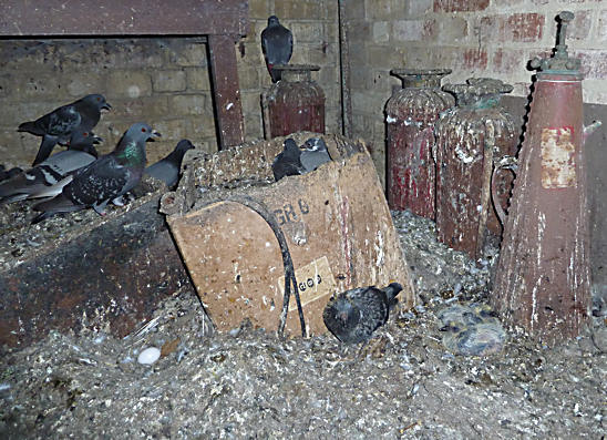 Derelict Cinema