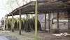 Abandoned Farm
