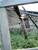 Derelict Sicily