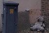 Abandoned Bear