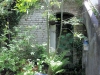 Derelict Toilet