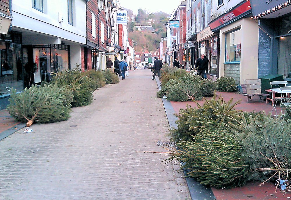 Abandoned Xmas Trees