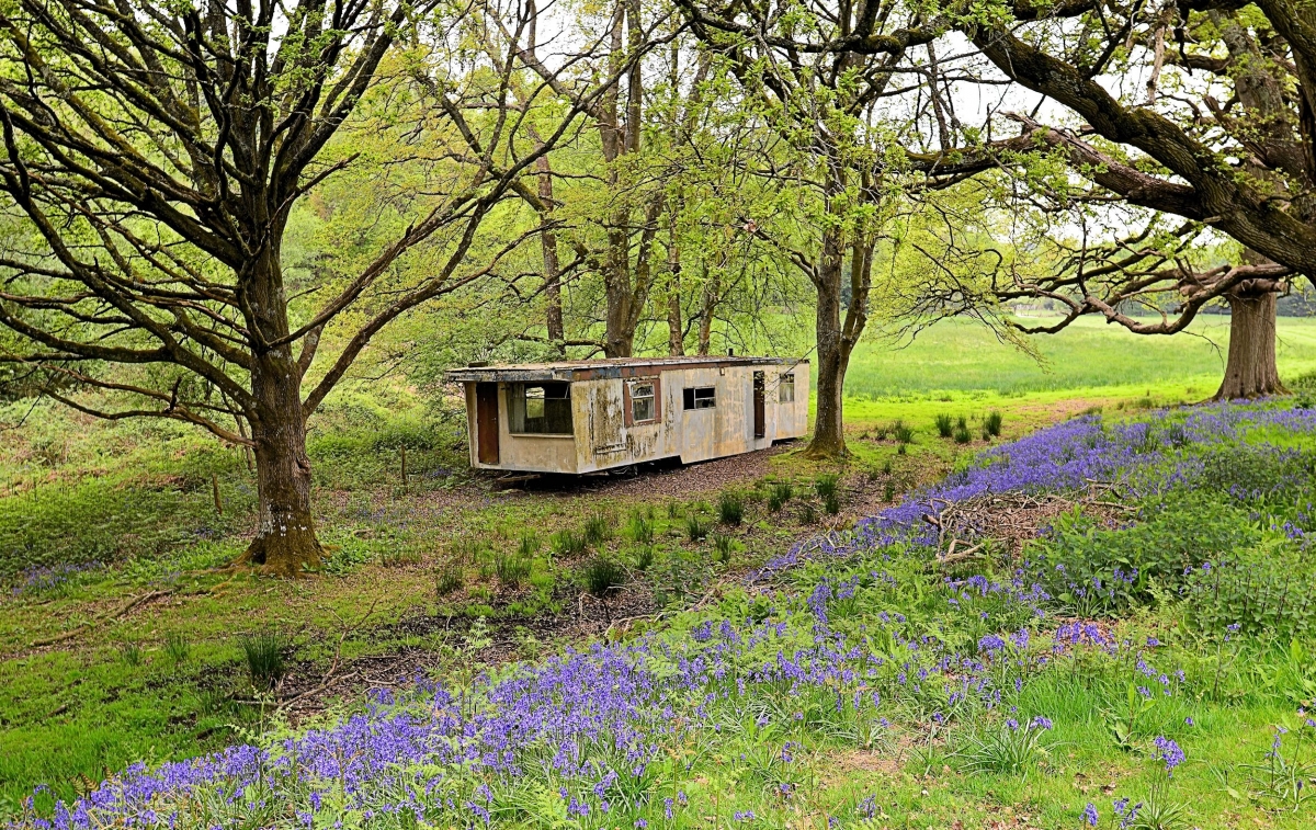 Derelict Caravan