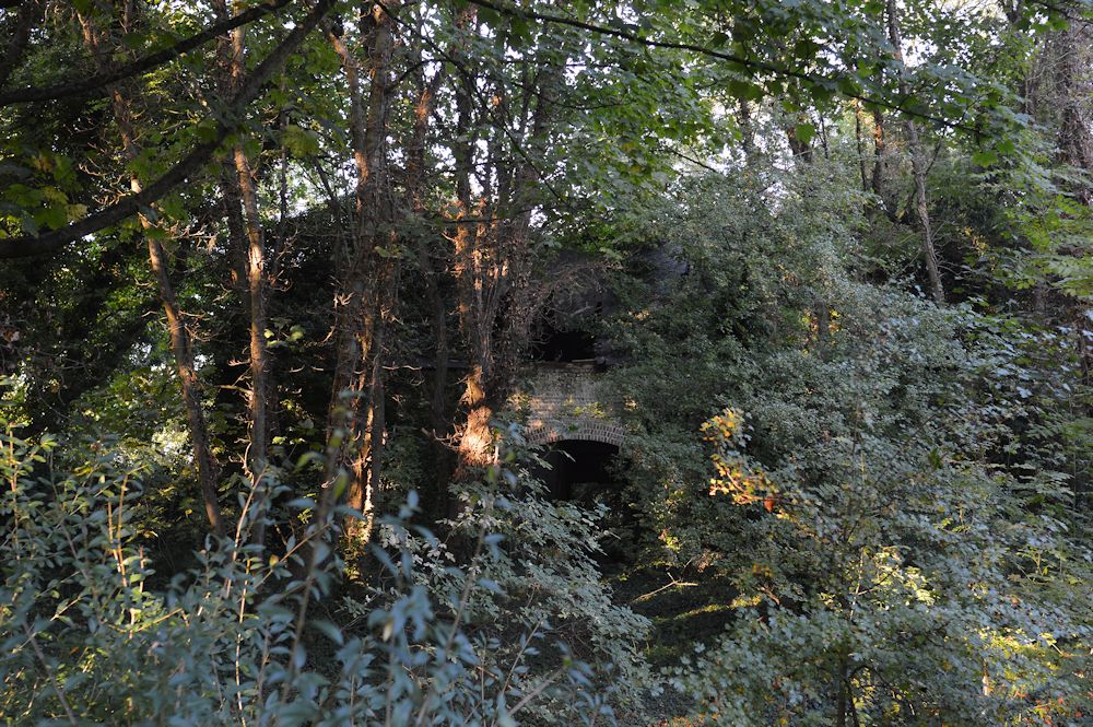 Derelict Barn