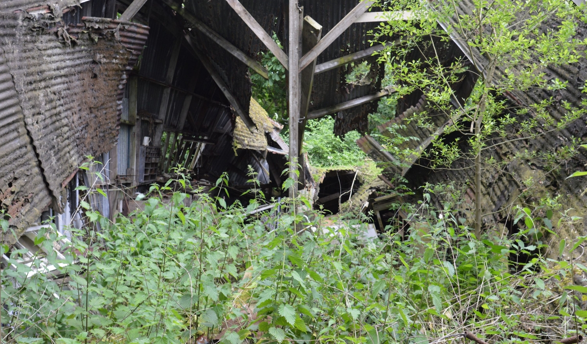 Derelict Barn