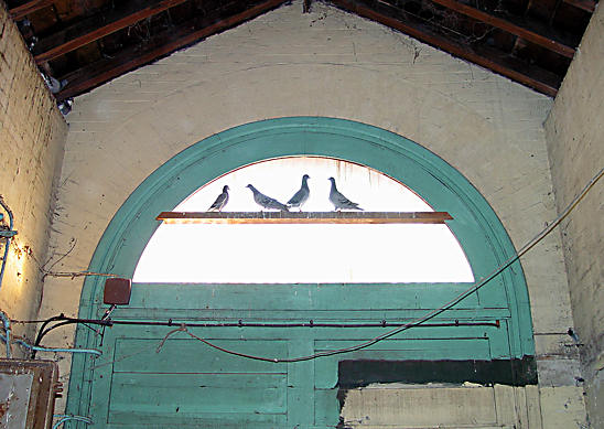 Derelict Pump House