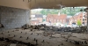 Gbm Demolition