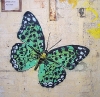 Graffiti Artwork