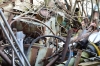 Hoarders Workshop