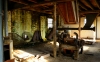 Hodgson`s Mill