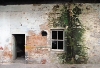 Locomotive Workshop