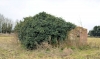 Military Pillbox