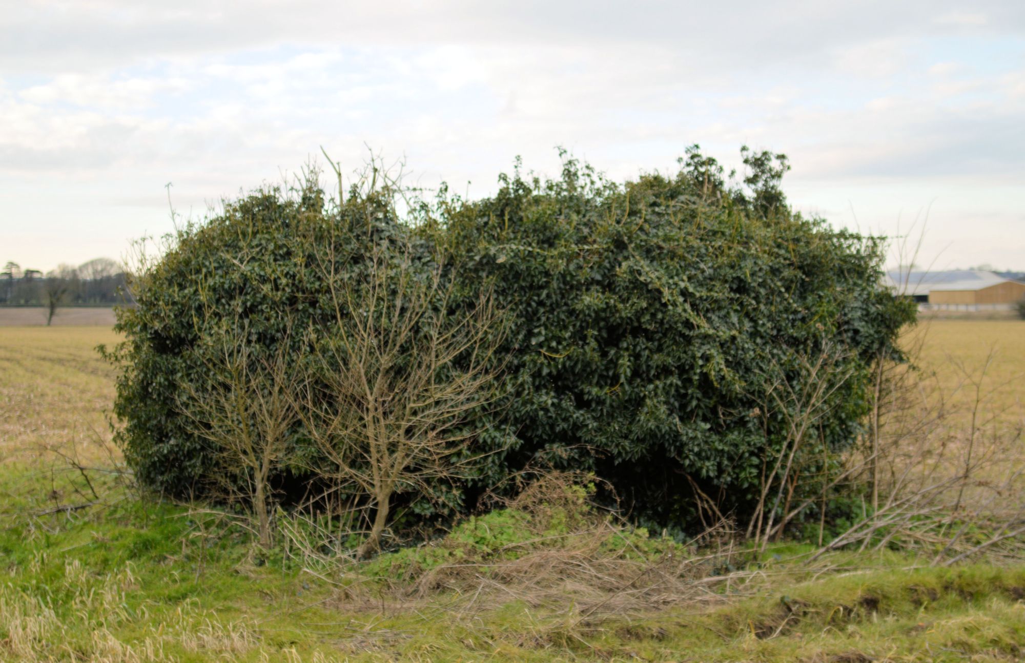 Military Pillbox