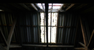 Abandoned Derelict Lewes Wenban Smith Timber Merchant Shop