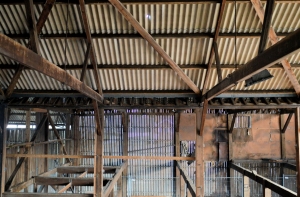 Abandoned Derelict Lewes Wenban Smith Timber Merchant Shop