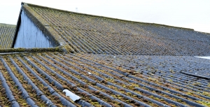 Lewes Timber Merchants