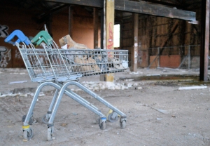 Lewes Timber Merchants