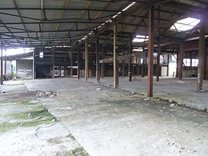 Lewes Timber Merchants