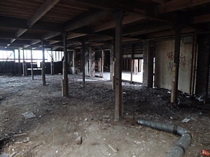Lewes Timber Merchants