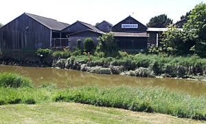 Lewes Timber Merchants