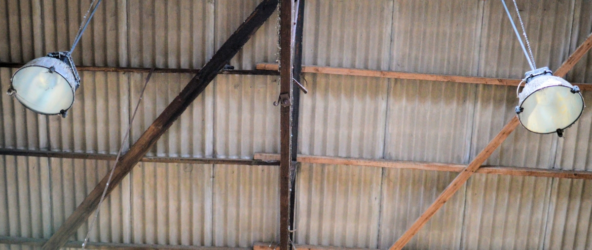 Abandoned Derelict Lewes Wenban Smith Timber Merchant Shop