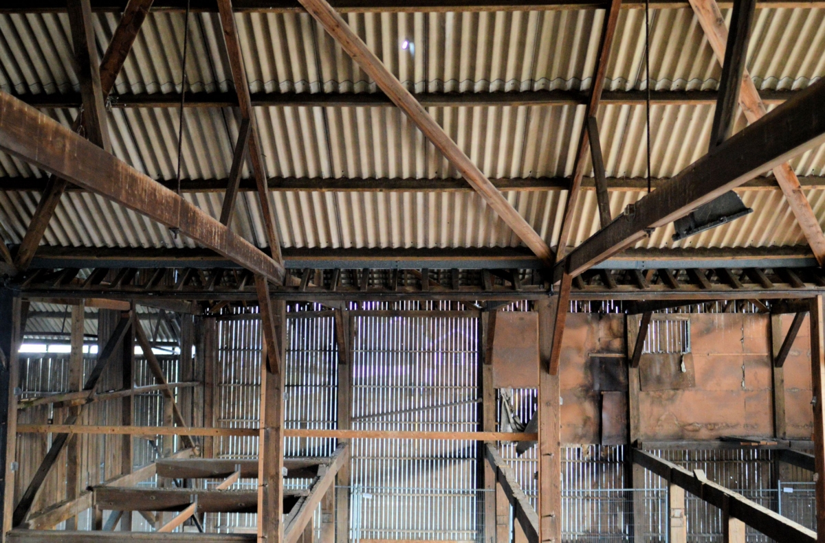 Abandoned Derelict Lewes Wenban Smith Timber Merchant Shop