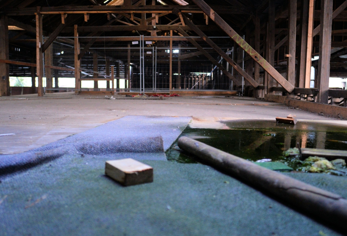 Abandoned Derelict Lewes Wenban Smith Timber Merchant Shop