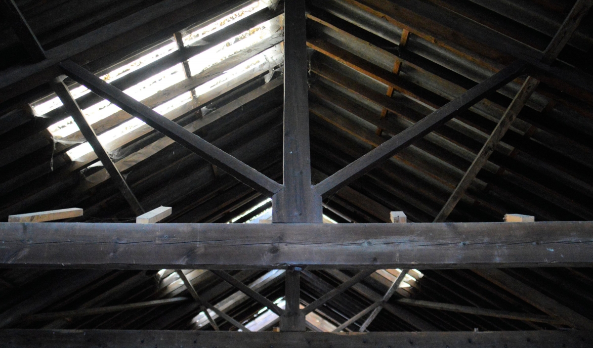 Lewes Timber Merchants