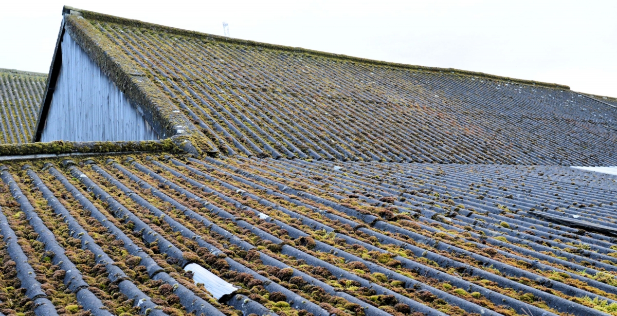 Lewes Timber Merchants