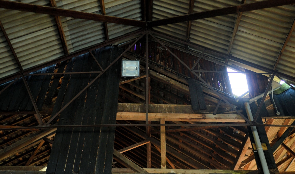 Abandoned Derelict Lewes Wenban Smith Timber Merchant Shop