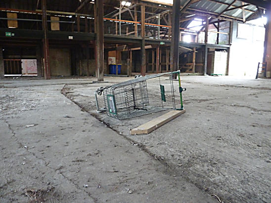 Lewes Timber Merchants