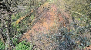 Tumbled Down Barn