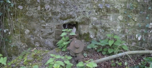 Tumbled Down Barn