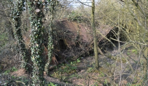 Tumbled Down Barn