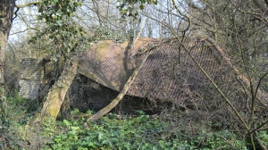 Tumbled Down Barn