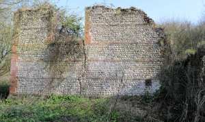 Tumbled Down Barn