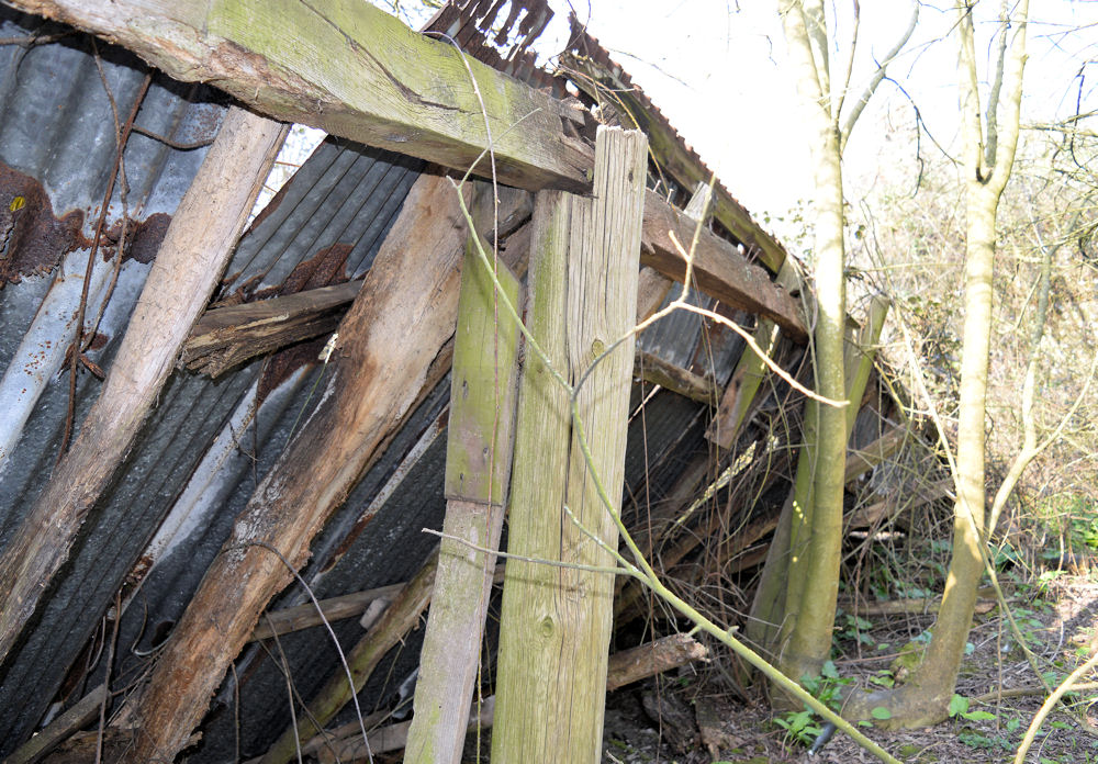 Tumbled Down Barn