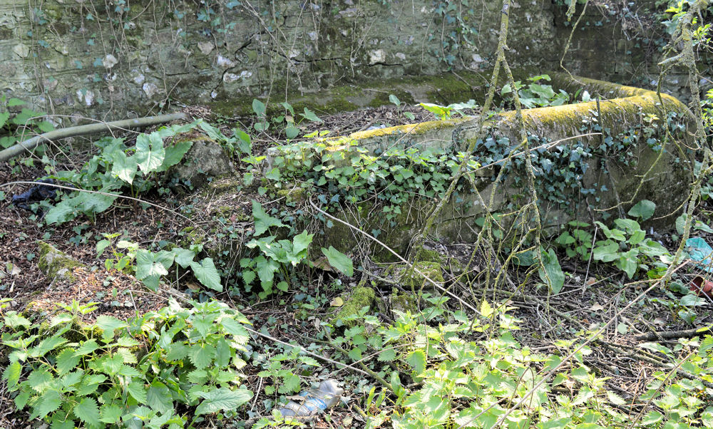 Tumbled Down Barn