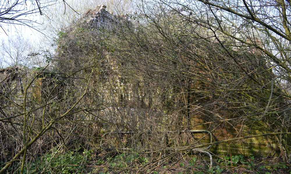 Tumbled Down Barn