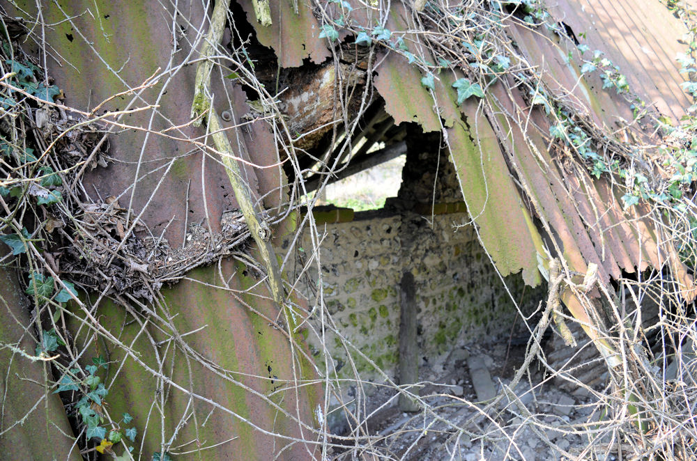 Tumbled Down Barn