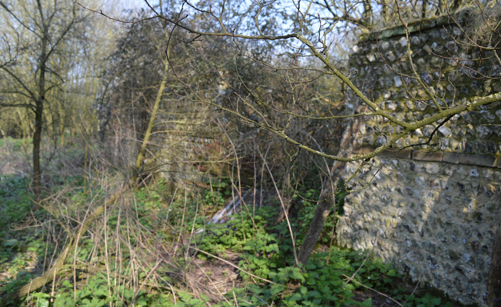 Tumbled Down Barn