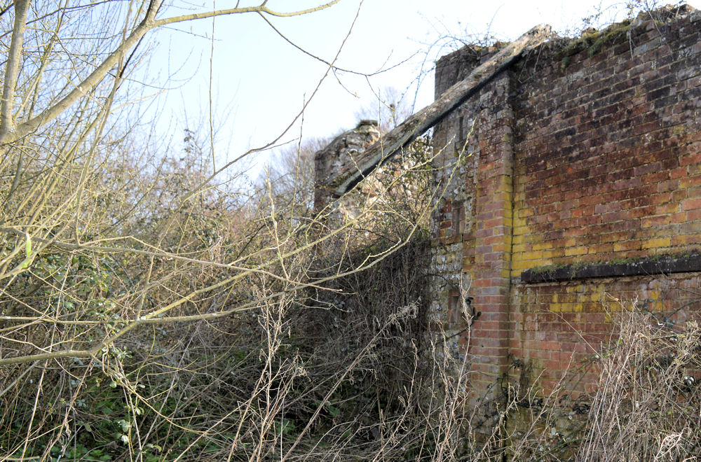 Tumbled Down Barn