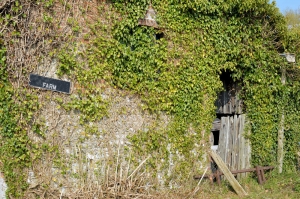 Unused Farm Buildings