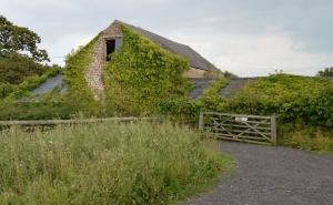 Derelict Barn