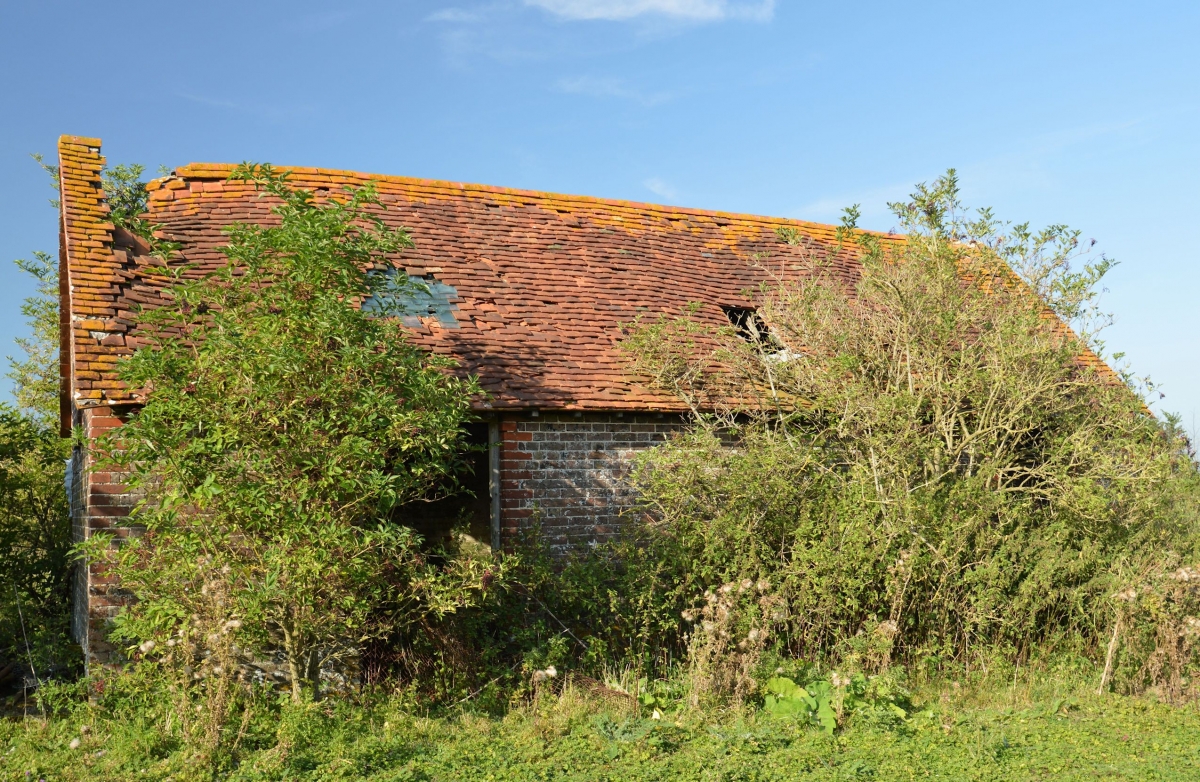 Derelict Barn