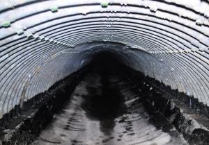 Tunnel