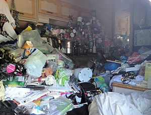 Caravan Giant Wheelie Bin