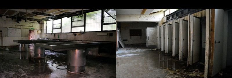 Abandoned Derelict Derp