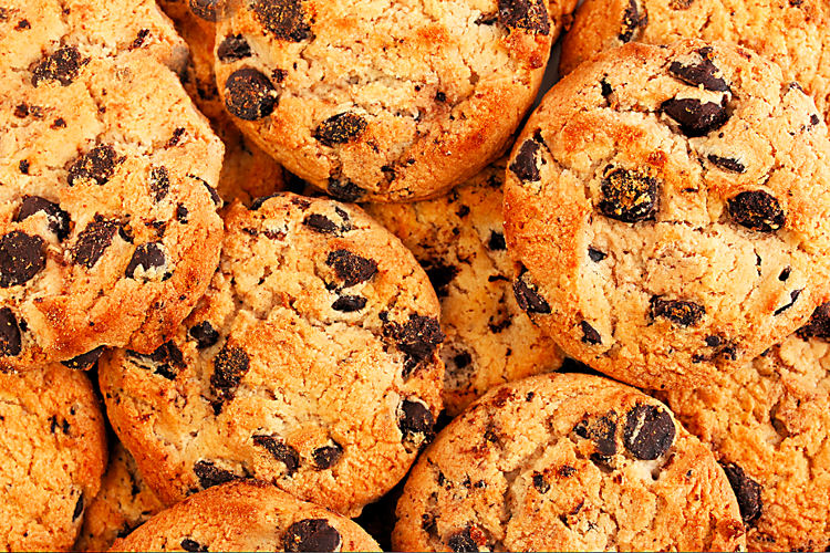 Cookie Policy Privacy Terms Conditions Abandoned Derelict